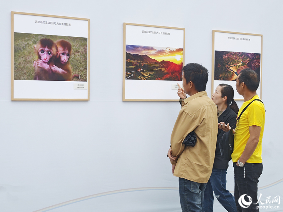 5月1日，游客參觀武夷山國(guó)家公園1號(hào)風(fēng)景道攝影展。人民網(wǎng) 黃東儀攝