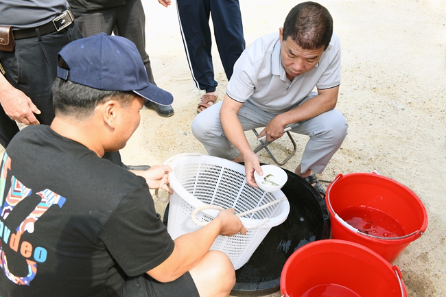 專家檢驗魚苗。羅婕攝