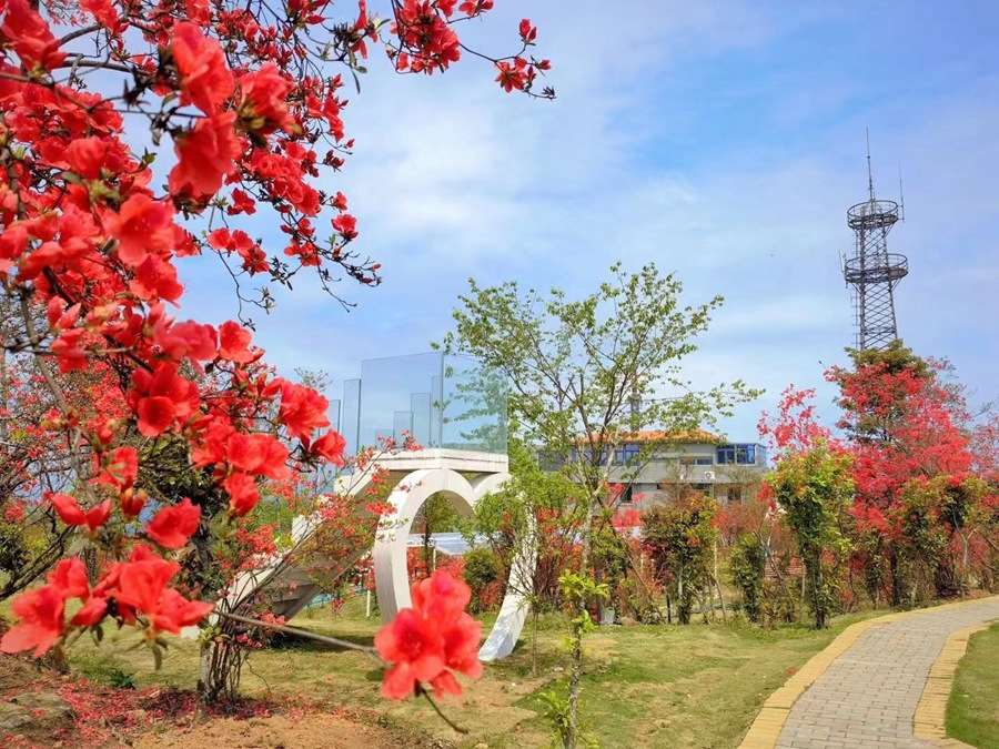 蓮峰三村風景秀麗 。城南鎮(zhèn)供圖