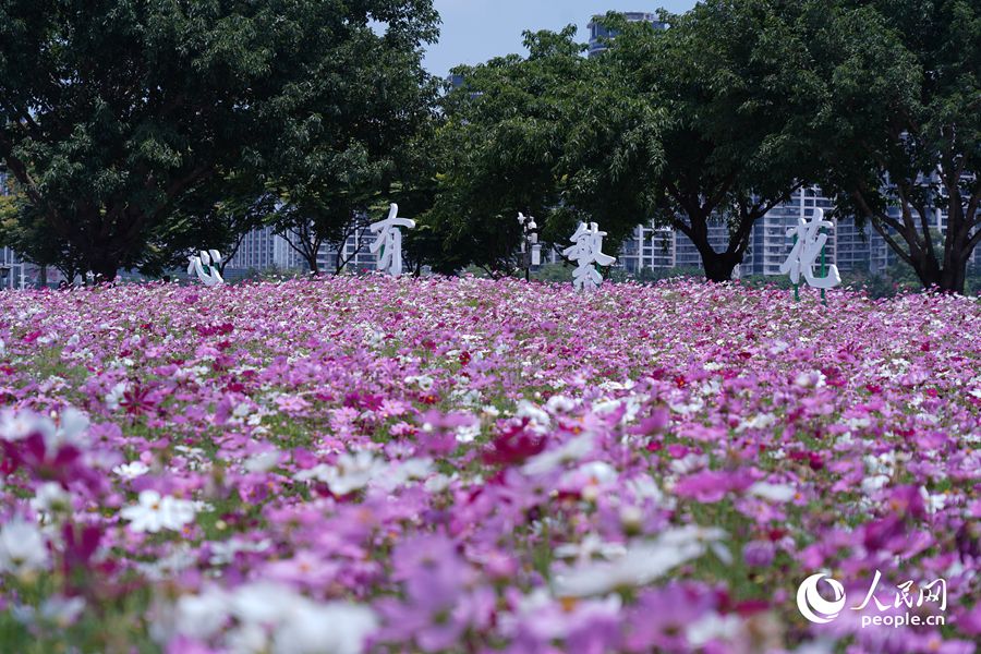 “心有繁花，一路芳華”。人民網(wǎng)記者 蘭志飛攝