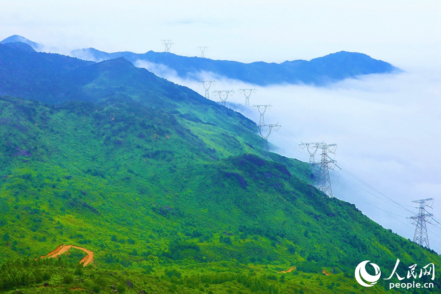 周寧縣峰巒迭起，云霧繚繞。人民網(wǎng) 李唯一攝