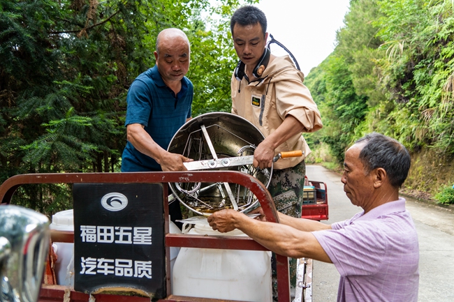 謝君與蜂農(nóng)一起在收割蜂蜜。將樂縣融媒體中心供圖