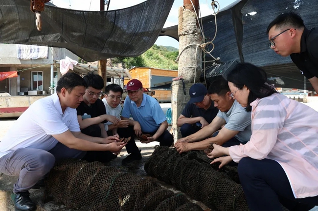 專家現(xiàn)場測量