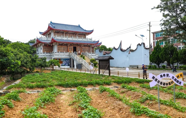 鶴上鎮(zhèn)青橋村。