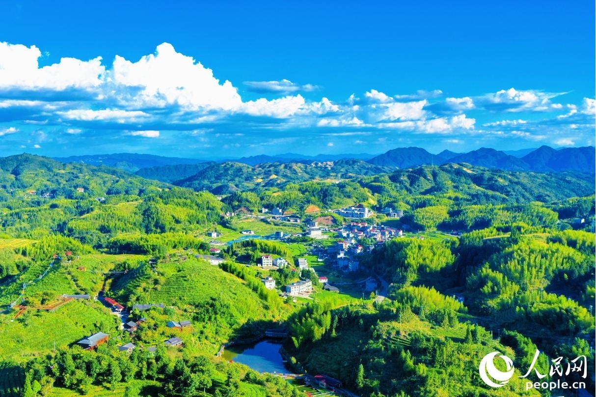 依托豐富的自然資源，大田縣大力發(fā)展茶旅特色產(chǎn)業(yè)。人民網(wǎng) 李唯一攝