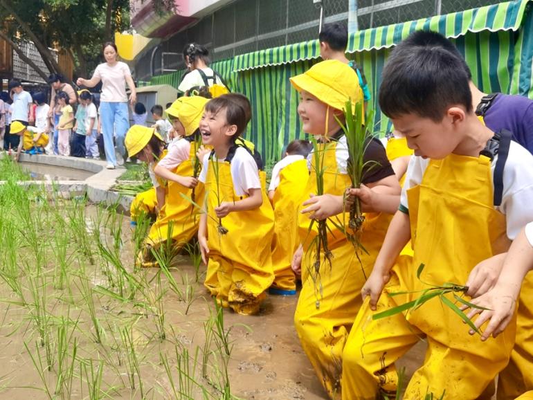 孩子們的插秧初體驗。龍巖市婦聯(lián)供圖