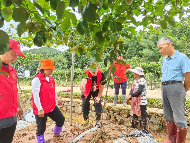 百香果種植能手技術(shù)輔導(dǎo)。象洞鎮(zhèn)政府供圖