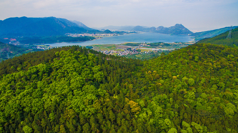 福州福清市石竹湖周邊生態(tài)公益林。黃海攝