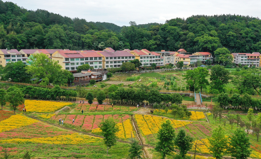 “沙縣小吃第一村”三明市沙縣區(qū)夏茂鎮(zhèn)俞邦村植被茂盛。黃海攝