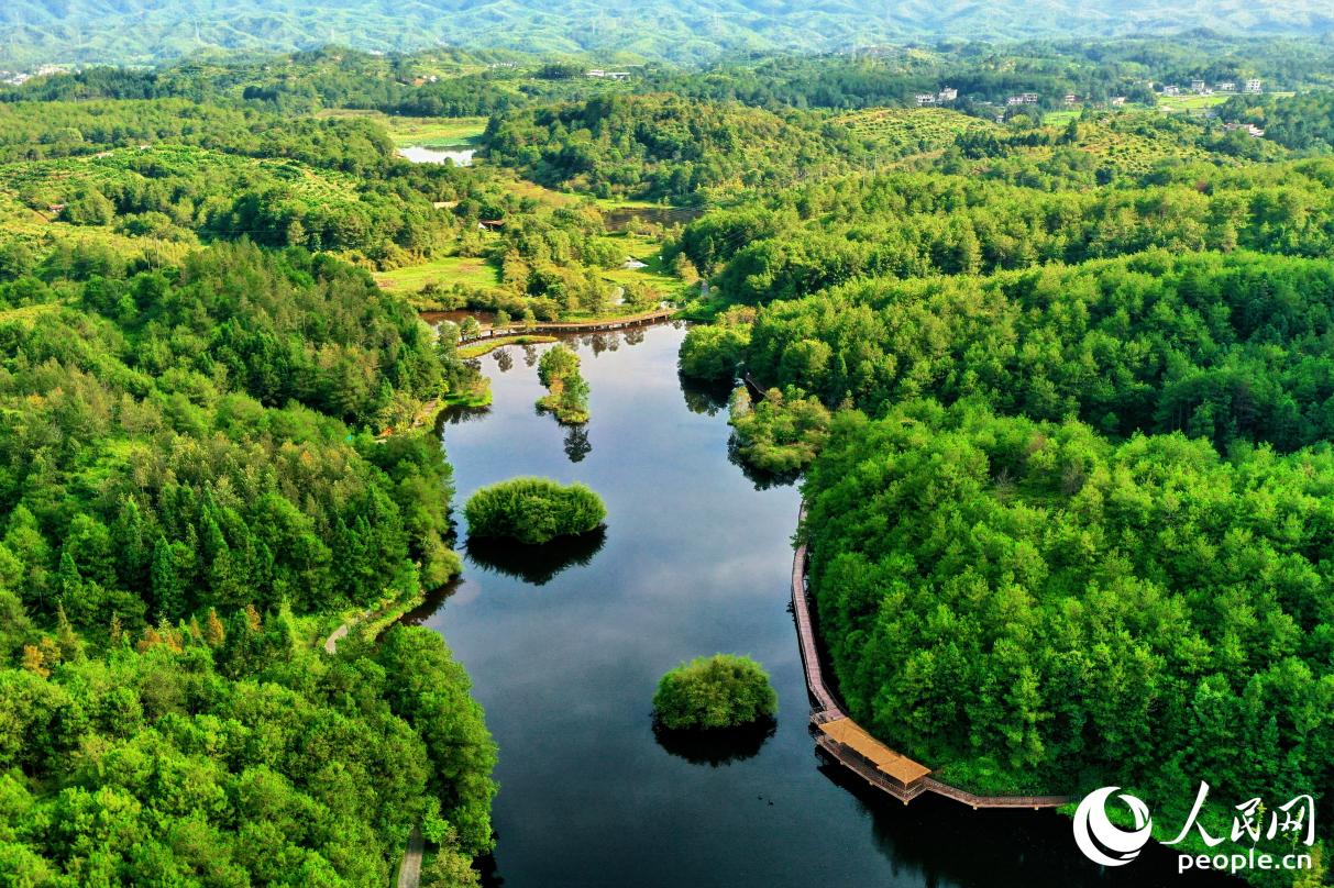 汀江國(guó)家濕地公園。人民網(wǎng) 李唯一攝