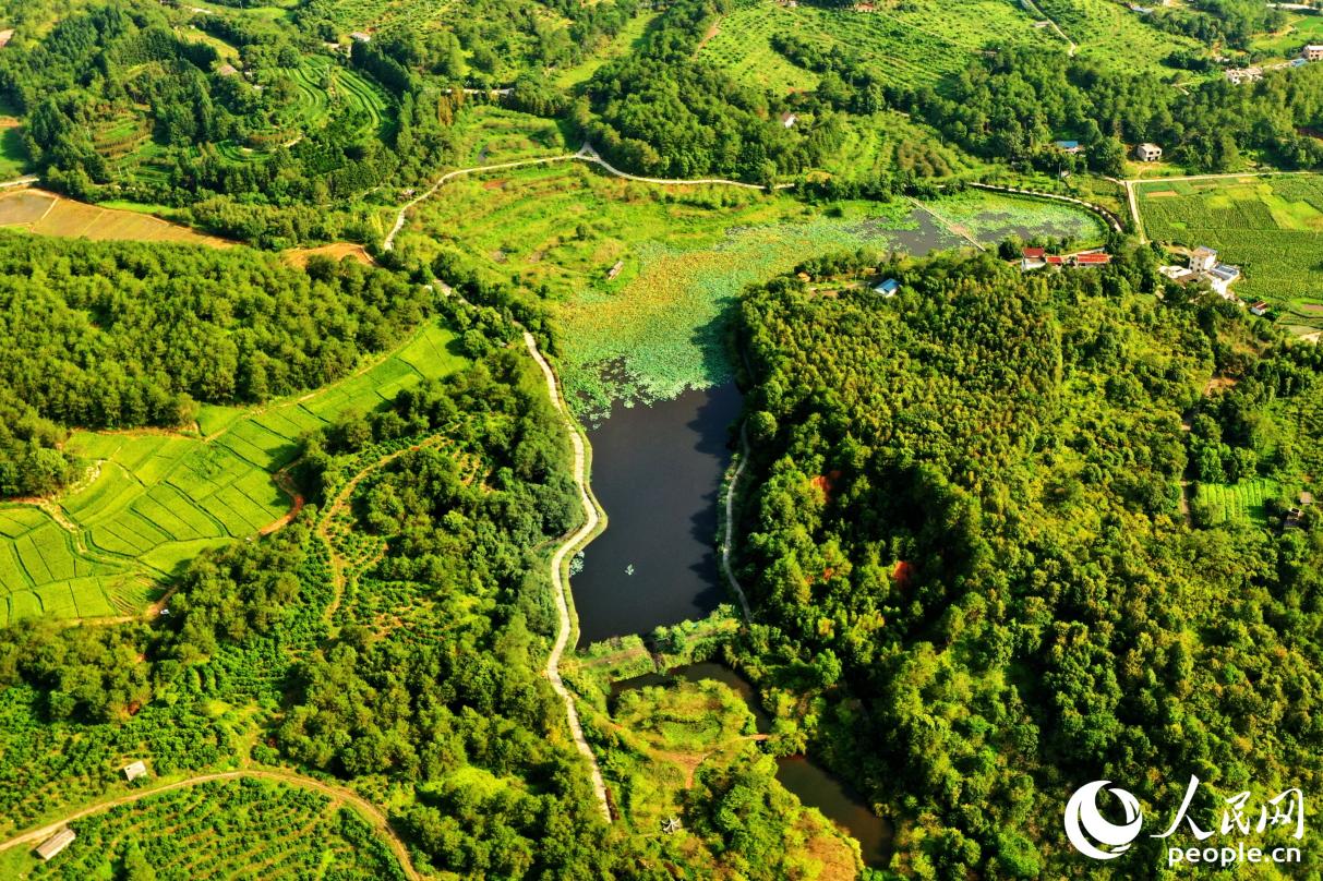 濕地公園的生物多樣性豐富。人民網(wǎng) 李唯一攝