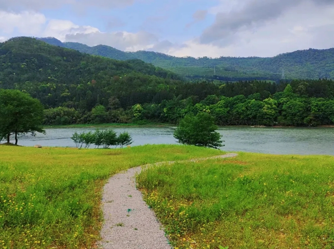 崇陽溪武夷山段生態(tài)巡護(hù)綠道。