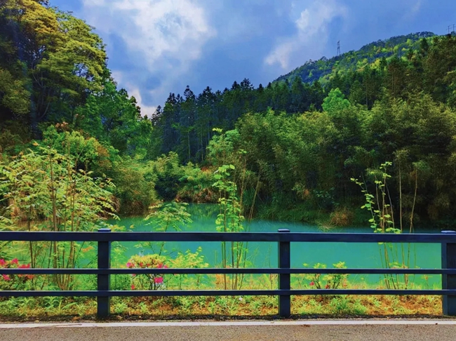 漫步綠道，欣賞美景。