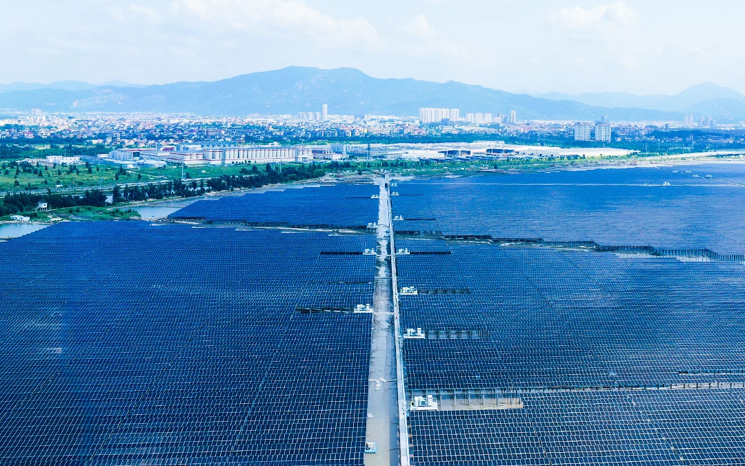 水下養(yǎng)魚，水上發(fā)電！福建省單體最大灘涂漁光互補項目并網(wǎng)發(fā)電