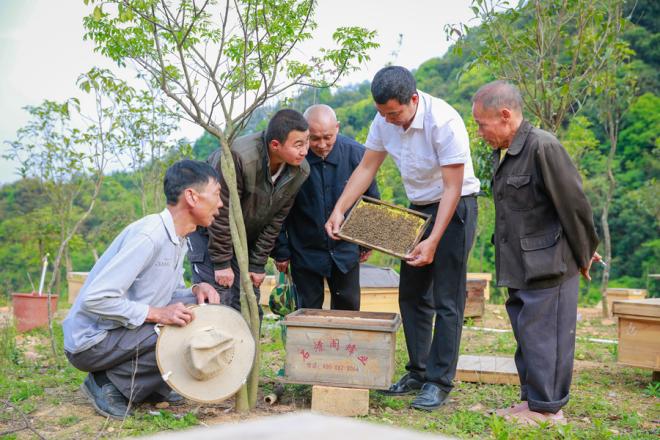 鐘亮生向蜂農(nóng)傳授養(yǎng)蜂技術(shù)。修永清攝