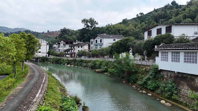 坦洋溪安全生態(tài)水系。陳菁攝