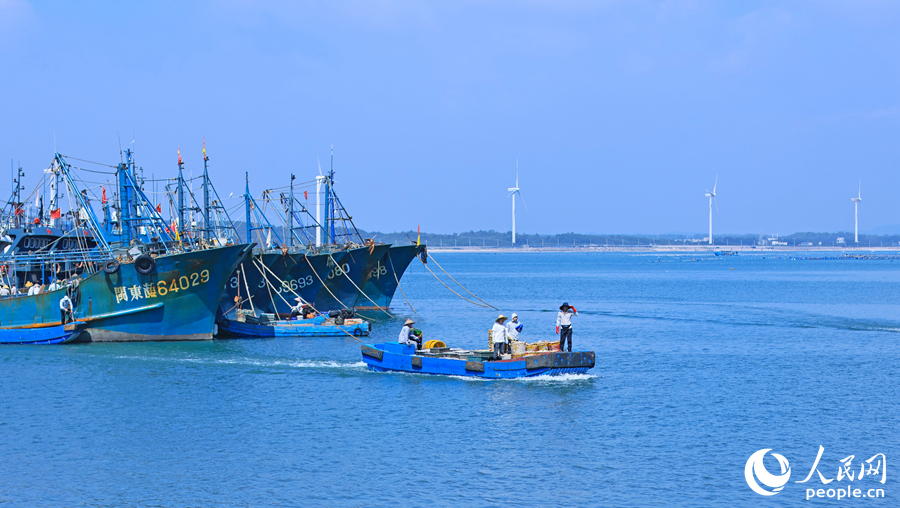 3.在澳角村，一艘漁船載著從海上捕獲的海鮮準(zhǔn)備靠岸。人民網(wǎng) 李昌乾攝