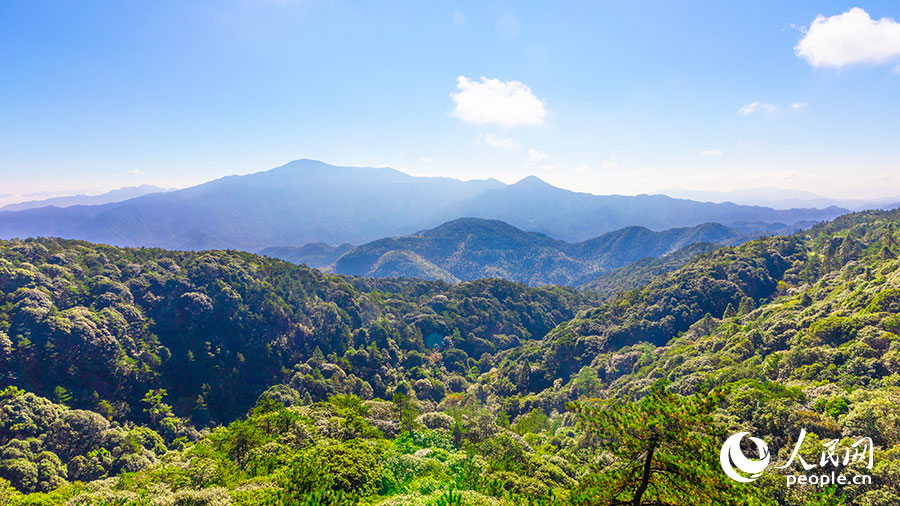 01 戴云山是閩中最高山峰。人民網(wǎng)記者 焦艷攝