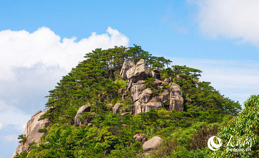 08 戴云山是閩中最高山峰。人民網(wǎng)記者 焦艷攝