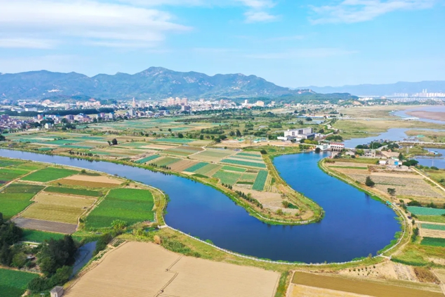 閩江口濕地。姜亮攝