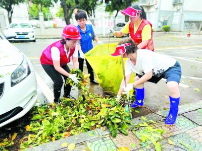 廈門市巾幗志愿者走上街頭，拉起倒伏樹木，清理落地樹枝。廈門市婦聯供圖