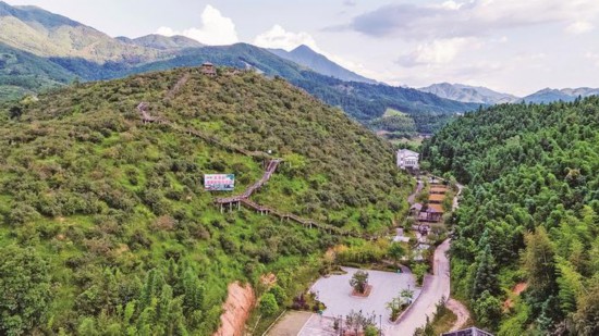 下村油茶科技示范園